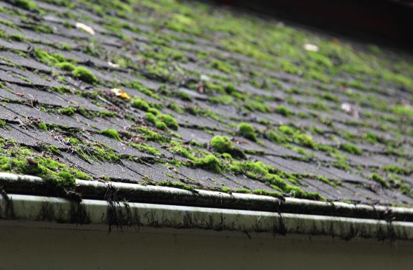 Roof Cleaning And Moss Removal - Roof Cleaning And Moss Removal Pacific Grove, California